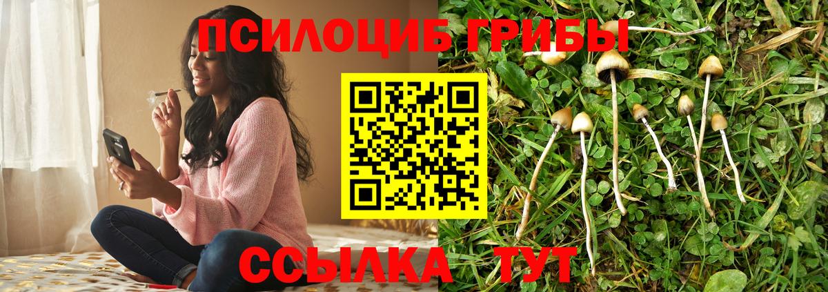 Галлюциногенные грибы GOLDEN TEACHER Еманжелинск