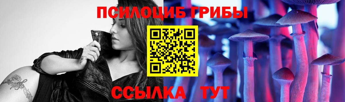 Еманжелинск  Галлюциногенные грибы Cubensis  Вход с VPN 